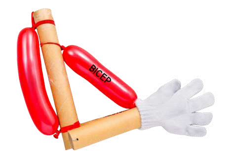 Basic Biology Kit
